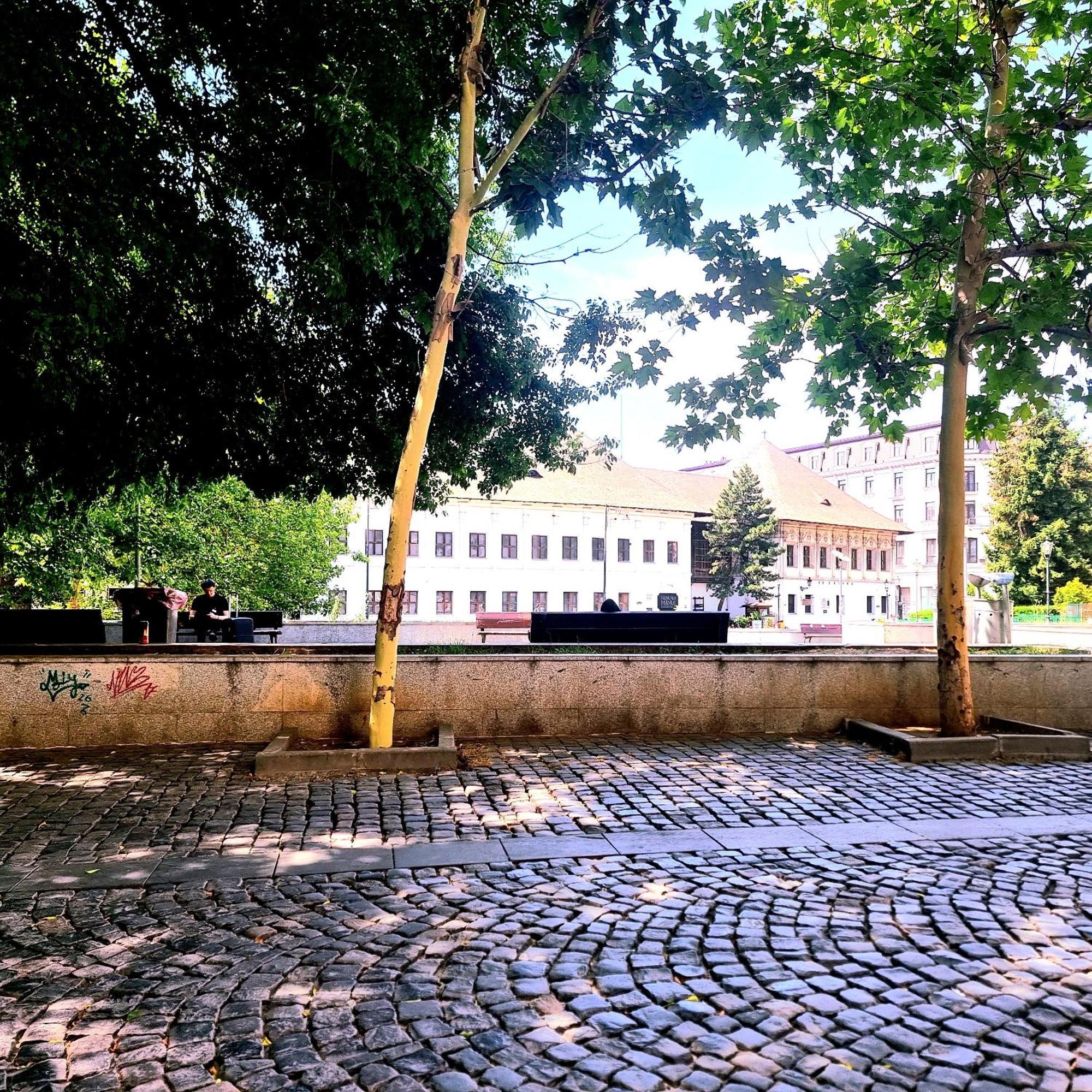 Enchanting Retreat - Historic Old Town - Pet-Friendly Haven - Steps From Unirii Bukarest Exteriör bild
