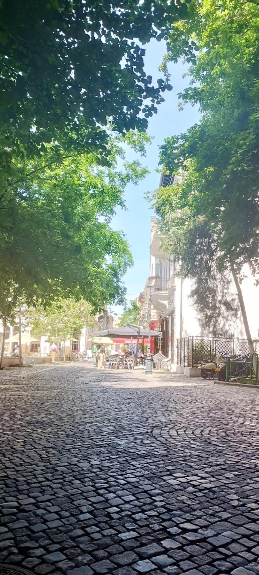 Enchanting Retreat - Historic Old Town - Pet-Friendly Haven - Steps From Unirii Bukarest Exteriör bild
